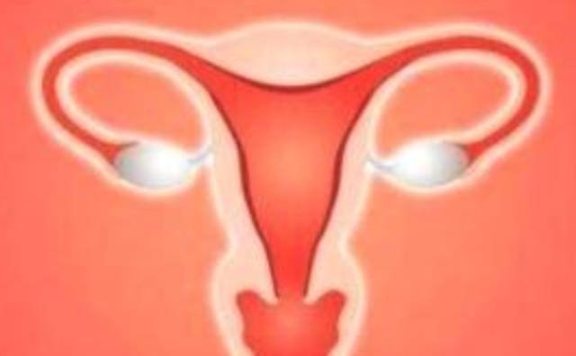 试管婴儿过程女人辛苦吗