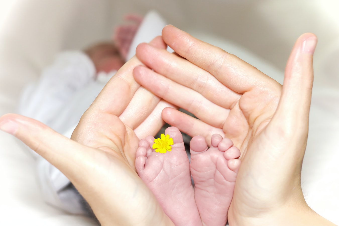 北京妇幼正规医院做供卵要多少钱婴儿哪个医生好