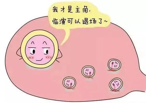 2024年北京能做双胞胎的试管医院推荐,满足条件的患者成功的可能才高